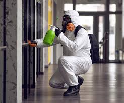 Best Mold Prevention Services  in Catalina, AZ